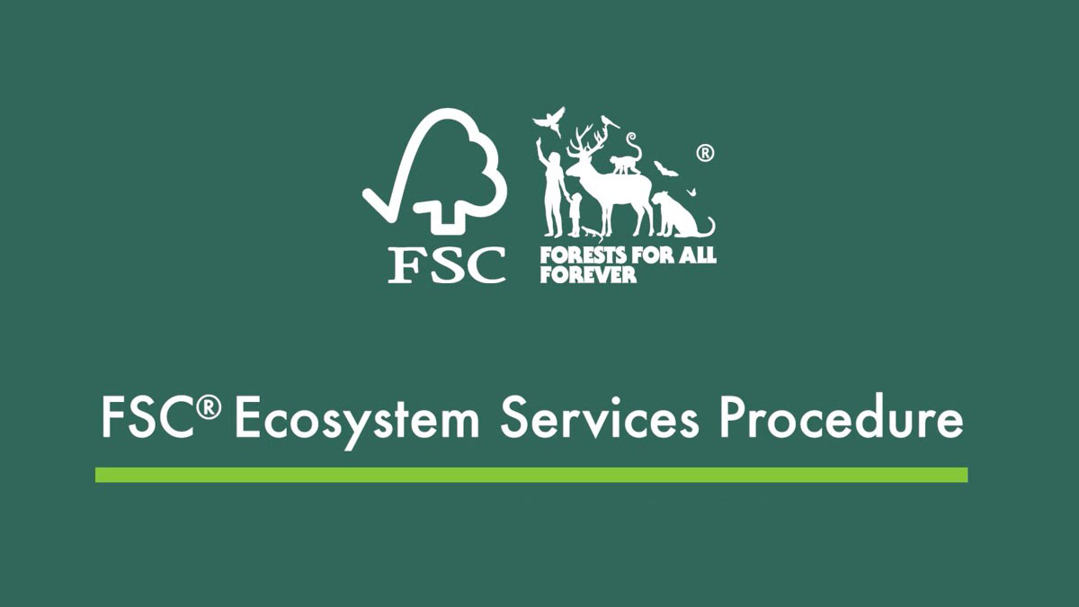Loghi FSC® Casma